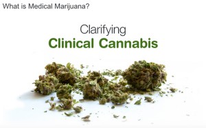Clarifying Cannabis
