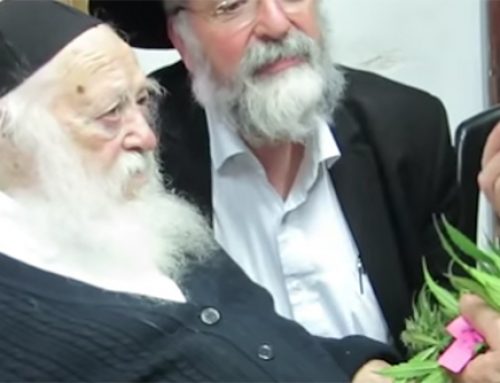 Some Rabbi’s May Be Okay With Medical Marijuana; But Only If It’s Kosher